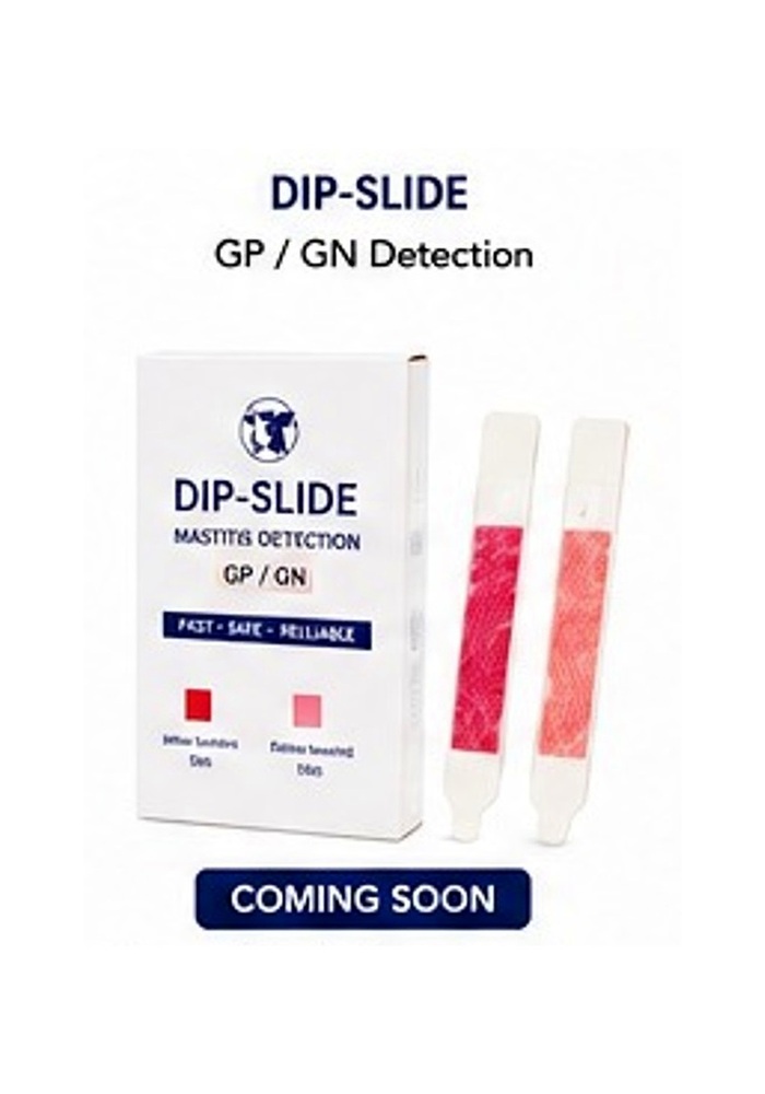Temporary DIP-SLIDE product visual