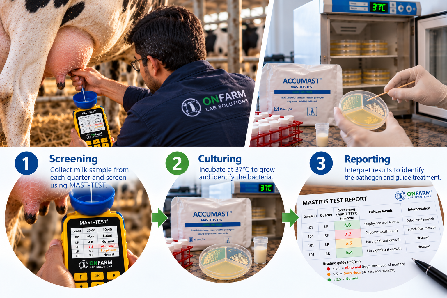 OnFarm Lab practical support for dairy farms